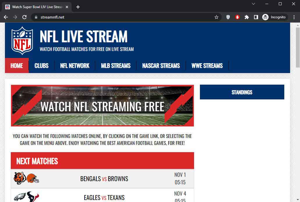 20 Best NFL Streaming Sites to Watch Live Matches in 2024