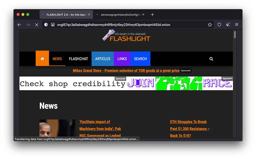 Flashlight news portal on dark web
