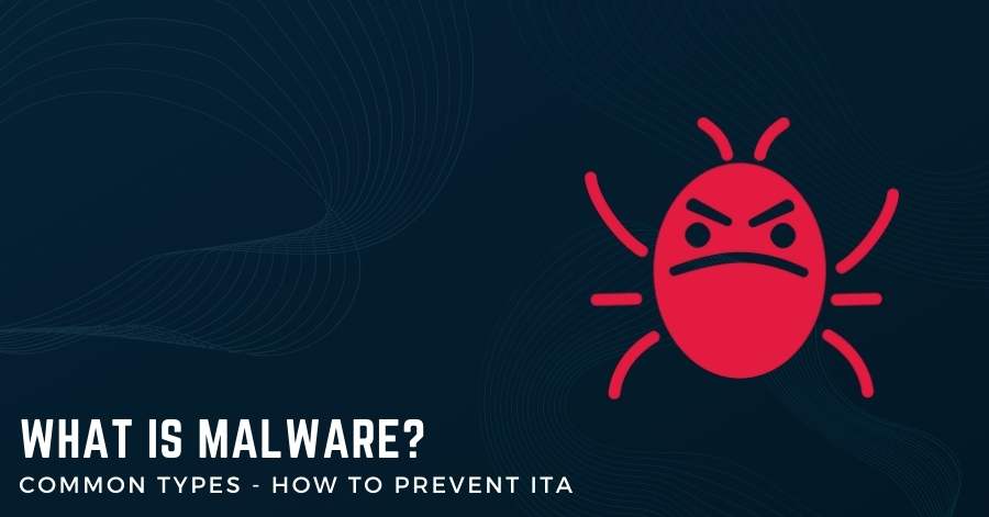 What Is Malware and Common Types - How To Prevent It?